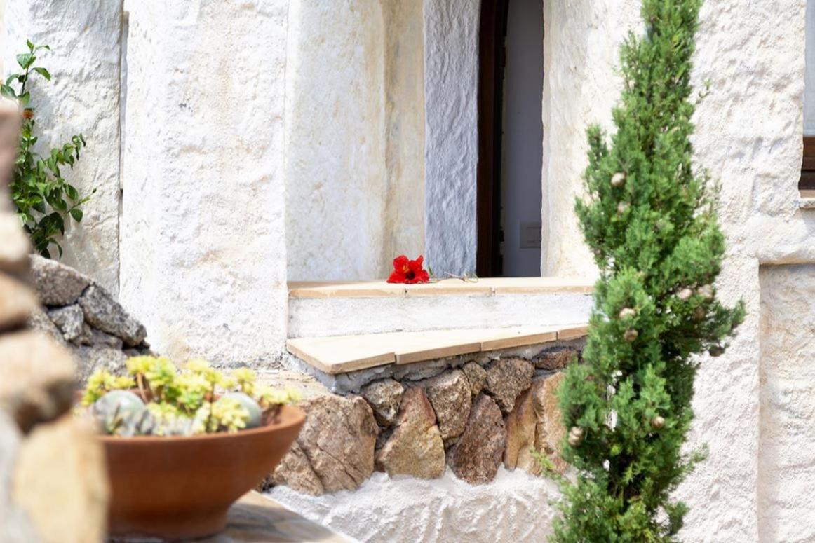 Villa Punta Saline กันนิโจเน ภายนอก รูปภาพ
